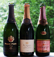 Where To Get Free Wine In Spain And Italy